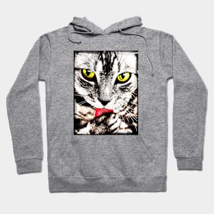 Cats T-Shirt Hoodie